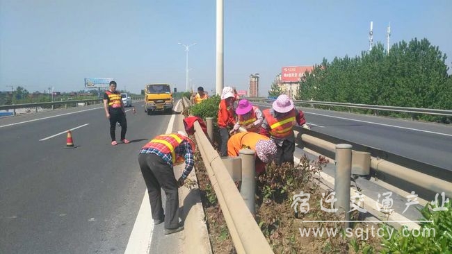 c2fbc4b18db40c1c3c62173cd1e45a25 春季绿化补植-001.jpg